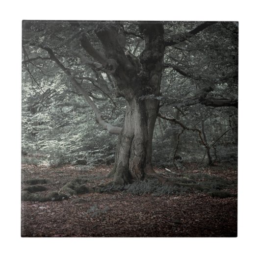 おとぎ話の森で タイル (正面)