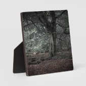 おとぎ話の森で フォトプラーク (正面)