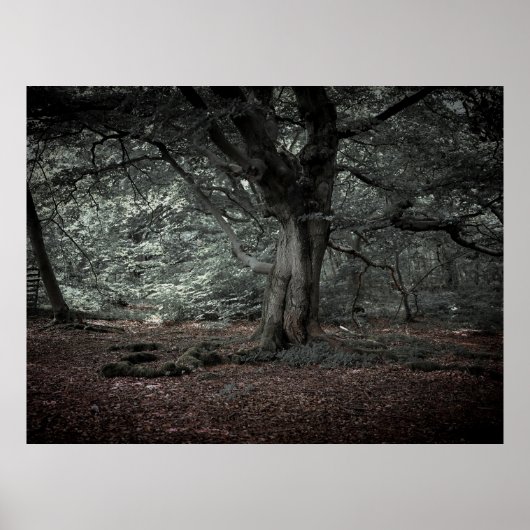 おとぎ話の森で ポスター (正面)