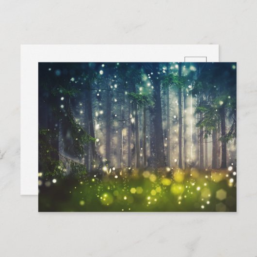 おとぎ話の森の木の自然ランドスケープアート ポストカード (正面/裏面)