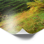 おとぎ話の森 フォトプリント            (角)