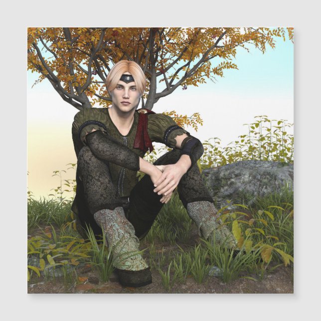 おとぎ話の王子 (正面)