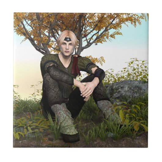 おとぎ話の王子 タイル (正面)