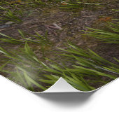 おとぎ話の王子 ポスター (コーナー)