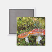 おとぎ話 マグネット (正面/裏面)