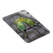 おとなしい仲間 マグネット (右側)