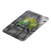 おとなしい仲間 マグネット (左側)