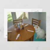 おなかがすいた猫 ポストカード (正面/裏面)