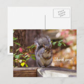 おねだりするシガルサングリュージー ポストカード (正面/裏面)