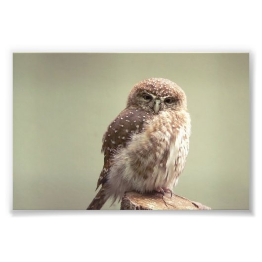 おはようございます写真 フォトプリント            (正面)