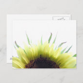 おはようございます朝花はがき ポストカード (正面/裏面)