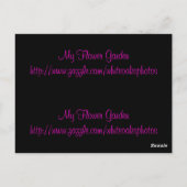 おはようしおりポストカード ポストカード (裏面)