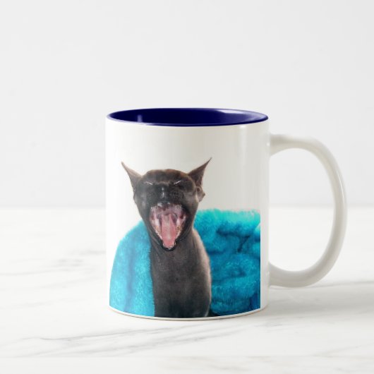 おはようの日光のマグ ツートーンマグカップ (右)