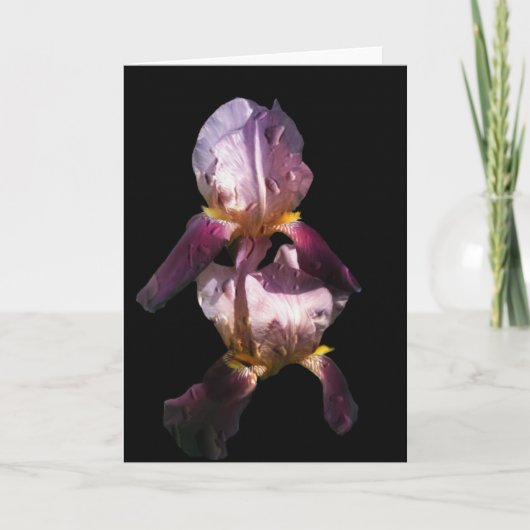 おはようアイリス カード (正面)