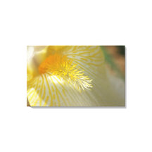 おはようアイリス！