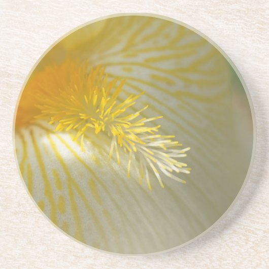 おはようアイリス！ コースター (正面)