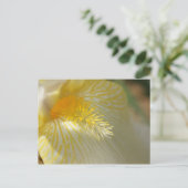 おはようアイリス！ ポストカード (スタンド正面)