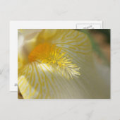 おはようアイリス！ ポストカード (正面/裏面)