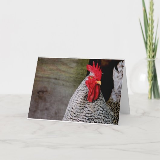 おはようエルマー！ カード (正面)