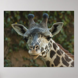 おはよう友 ポスター