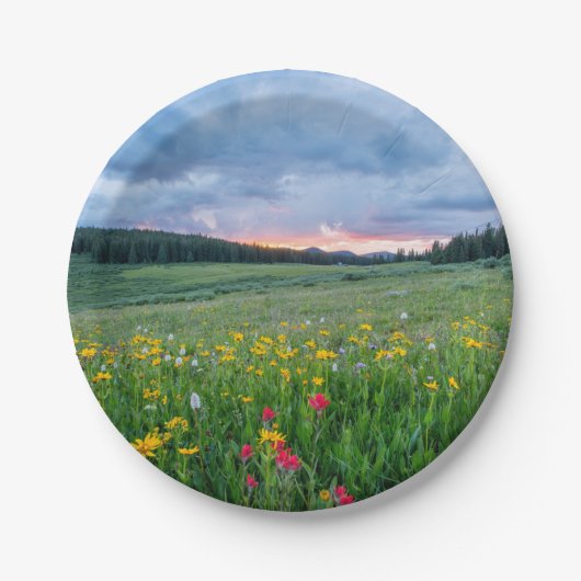 おはよう牧草地 ペーパープレート (正面)