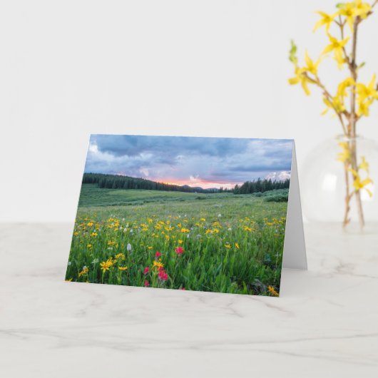 おはよう草地 カード (黄色い花)