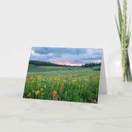 おはよう草地 カード