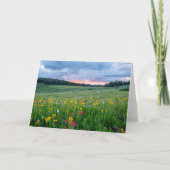 おはよう草地 カード (正面)