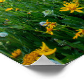 おはよう草地 ポスター (角)