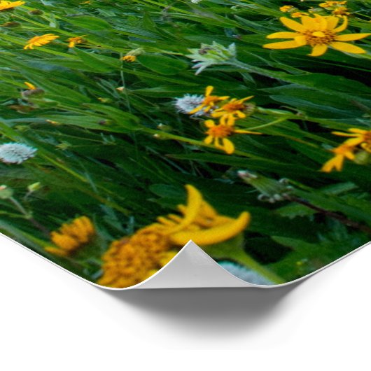 おはよう草地 ポスター (角)