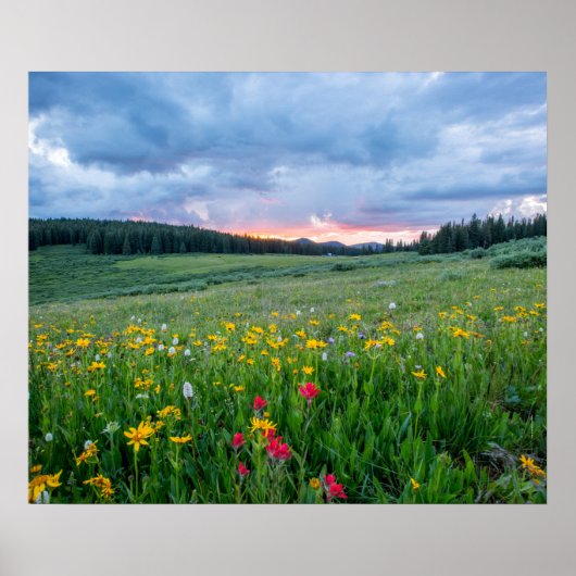 おはよう草地 ポスター (正面)