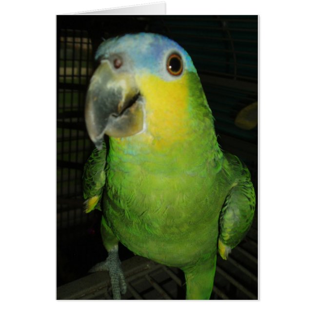 おはよう! (正面)