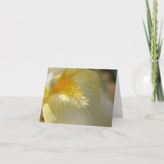 おはよう、アイリス! カード (正面)