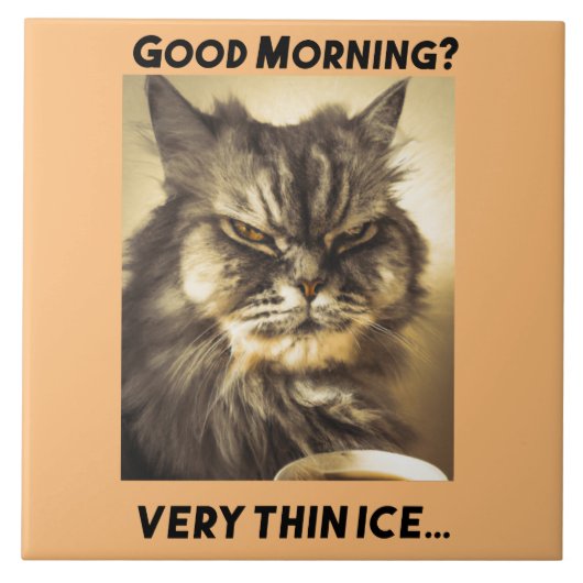 おはよう！非常に薄い氷。皮肉なtouch タイル (正面)