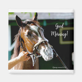 おはよう!馬 マグネット