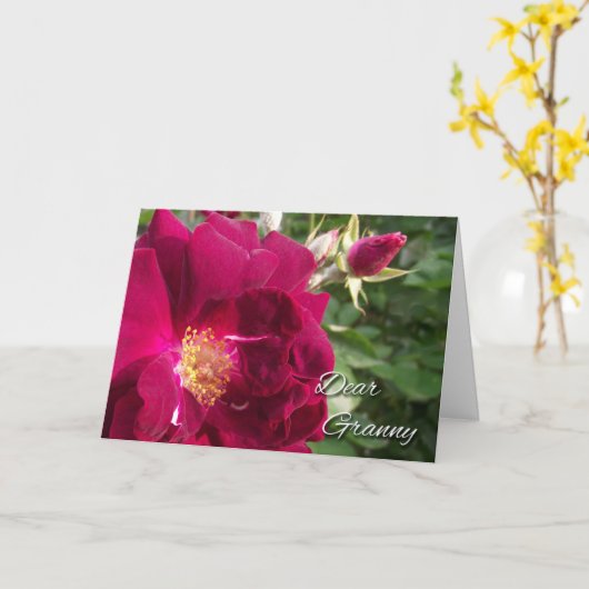 おばあさん、赤いバラおよび芽のための祖父母日 カード (黄色い花)
