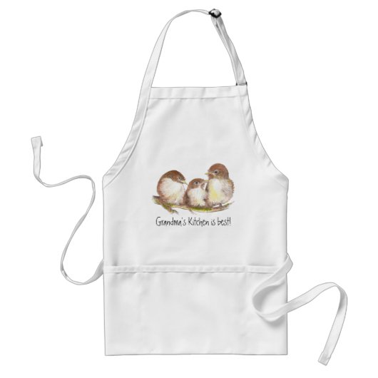 おばあちゃんのキッ最高のチンは、かわいい鳥の家族。 スタンダードエプロン (正面)