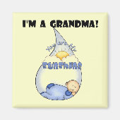 おばあちゃんのサンシャインボーイTシャツ&ギフト マグネット (正面)