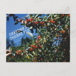 おばあちゃんのチェリーパイのレシピ ポストカード