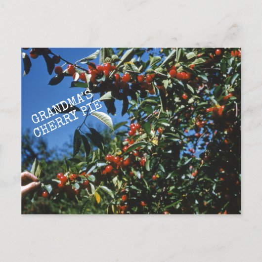 おばあちゃんのチェリーパイのレシピ ポストカード (正面)