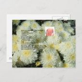 おばあちゃんのチョコレートチップクッキーレシピはがき ポストカード (正面/裏面)