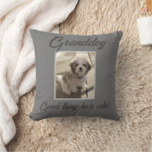 おばあちゃんの可愛い犬の枕 クッション (ブランケット)