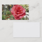 おばあちゃんの庭でピンクのバラ 名刺 (正面/裏面)