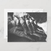 おばあちゃんの手 ポストカード (正面/裏面)