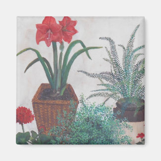 おばあちゃんの植物 マグネット