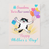 おばあちゃんの母の日かわいい子猫カラフル風船 シーズンポストカード (正面)