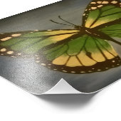 おばあちゃんの蝶5x7プリント フォトプリント            (角)