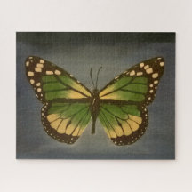 おばあちゃんの蝶