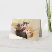 おばあちゃんハッピーバースデートリオオブキテンス カード (裏面)