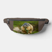 おばあちゃんパックの社交的なマーモット ファニーパック (レイダウン)